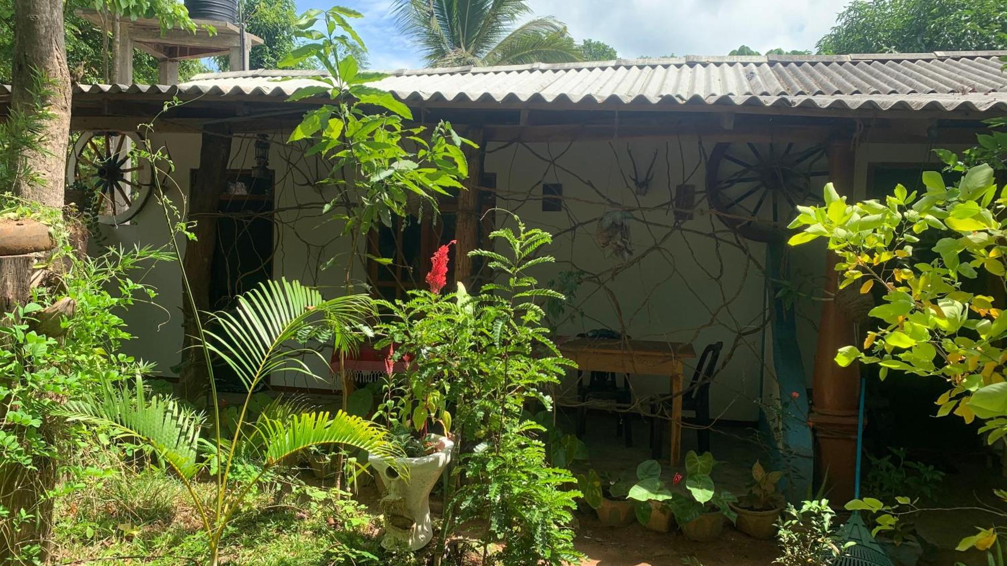 Sigiri Birds Hostel Sigiriya Exterior foto